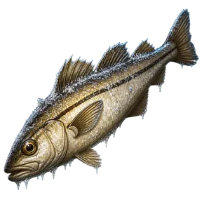 Raw Frost Haddock, an item in Vireldan Idle