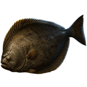 Raw Deepwater Halibut, an item in Vireldan Idle