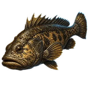 Raw Rock Cod, an item in Vireldan Idle