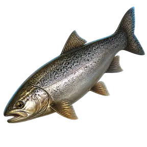 Raw Silver Trout, an item in Vireldan Idle