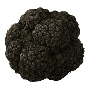 Marsh Truffle, an item in Vireldan Idle