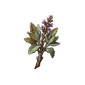 Roadside Sage, an item in Vireldan Idle