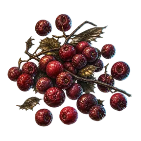 Bogberry, an item in Vireldan Idle