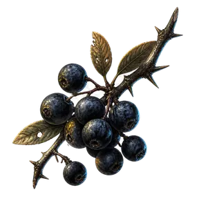 Bitter Sloe, an item in Vireldan Idle