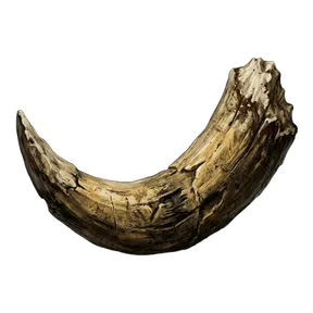 Orc Tusk, an item in Vireldan Idle