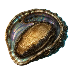 Abalone Meat, an item in Vireldan Idle