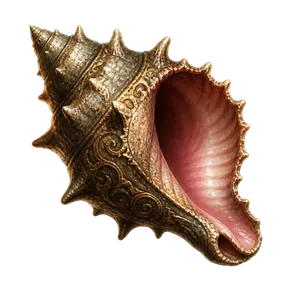Conch Meat, an item in Vireldan Idle